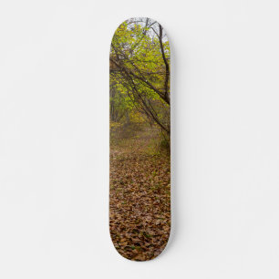 Herbstgang Skateboard