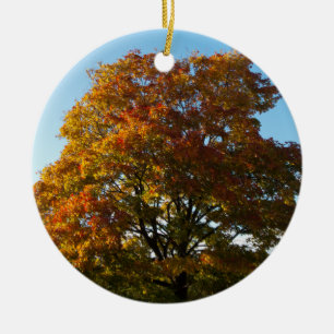 Herbstgarten, Sankt Petersburg - Russland - Orname Keramikornament