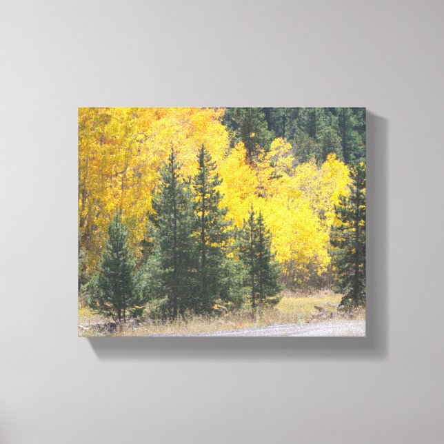 Herbstgelbe Aspen Bäume Berglandschaft Foto Leinwanddruck (Vorderseite)