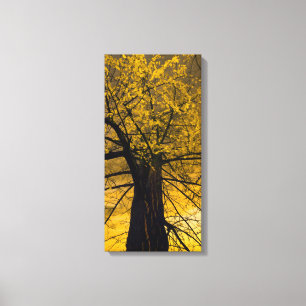 Herbstgelbe Baum-Malerei Leinwanddruck