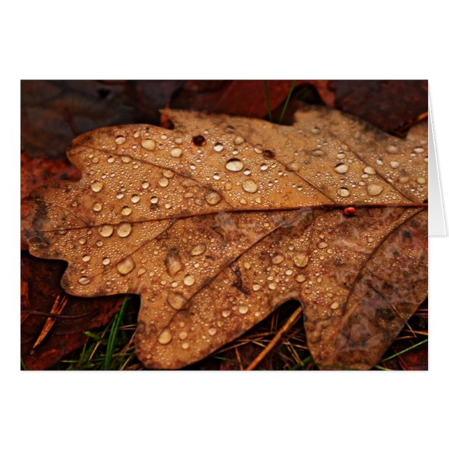 Herbstgelbe Blattkarte (Vorderseite (Horizontal))