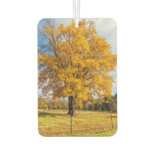 Herbstgelber Ahorn Autolufterfrischer