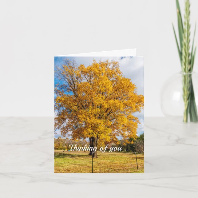 Herbstgelbes Ahornzuckerkarton Karte (Vorderseite)