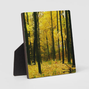 Herbstgelbwald Fotoplatte