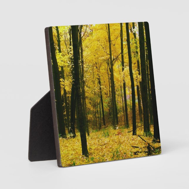 Herbstgelbwald Fotoplatte (Vorderseite)