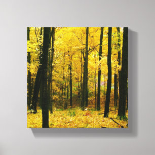 Herbstgelbwald Leinwanddruck