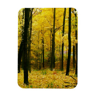 Herbstgelbwald Magnet