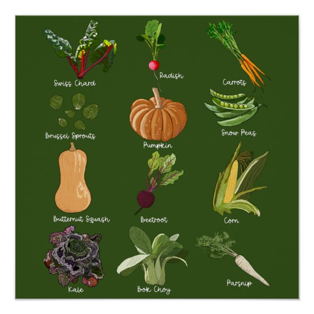Herbstgemüse Ernte Poster (Vorderseite)