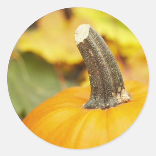 Herbstgestaltung Runder Aufkleber (Vorderseite)