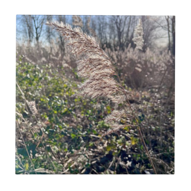 Herbstglück.. Fliese (Vorderseite)