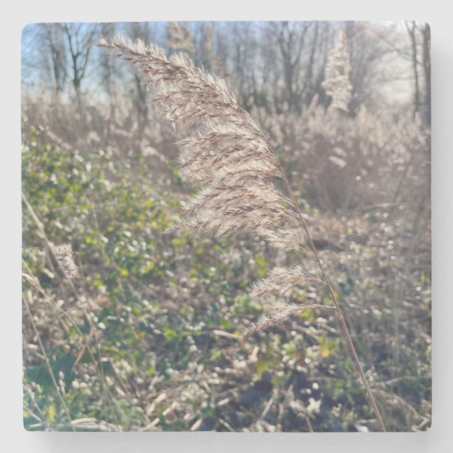 Herbstglück.. Steinuntersetzer (Vorderseite)