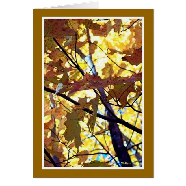 Herbstgolden (Vorne)