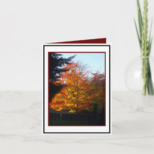 Herbstgrüße Karte