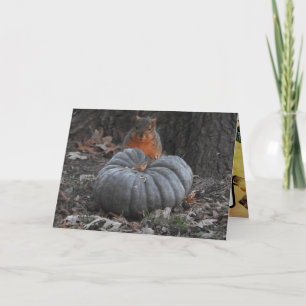 Herbstgrüße Lustiges Eichhörnchen beim Kürbisess Karte