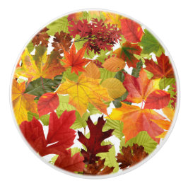 HerbstHerbstlaube Keramikknauf