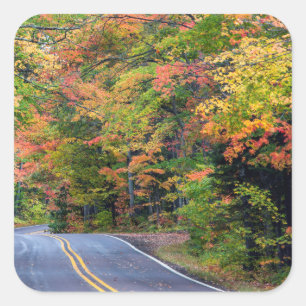 Herbstkanopie auf dem Highway 41 2 Quadratischer Aufkleber