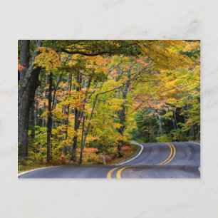 Herbstkanopie auf dem Highway 41 Postkarte