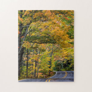 Herbstkanopie der Farbe auf der Autobahn 41