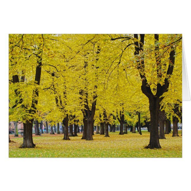 Herbstkarte (Vorderseite (Horizontal))