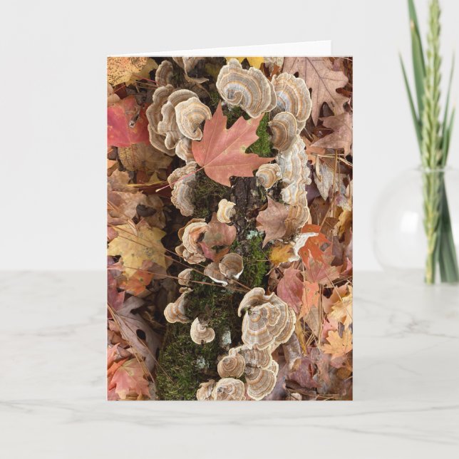 Herbstkarte (innen leer) karte (Vorderseite)