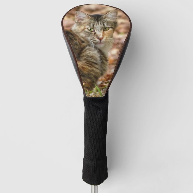 Herbstkatze Golf Headcover (Vorderseite)