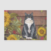 Herbstkatze und Sonnenblumen auf Stallholz Fall