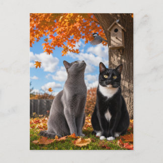 Herbstkatzen sitzen unter einem Ahornbaum Postkarte