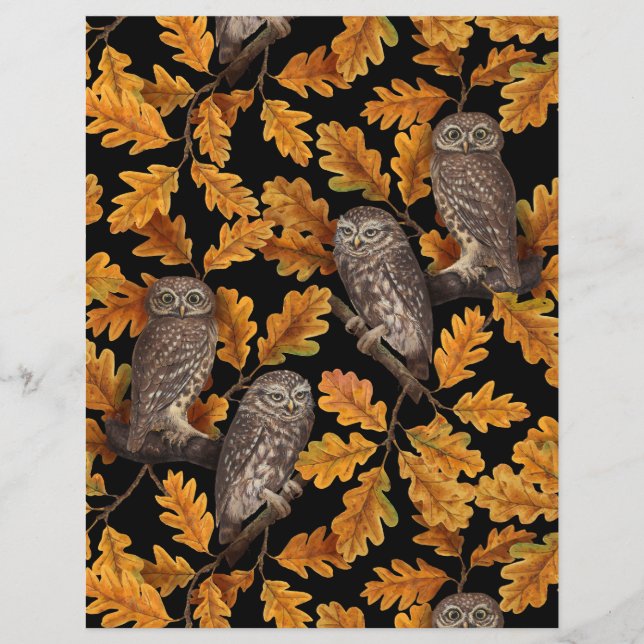 Herbstkauz auf schwarz (Vorderseite)