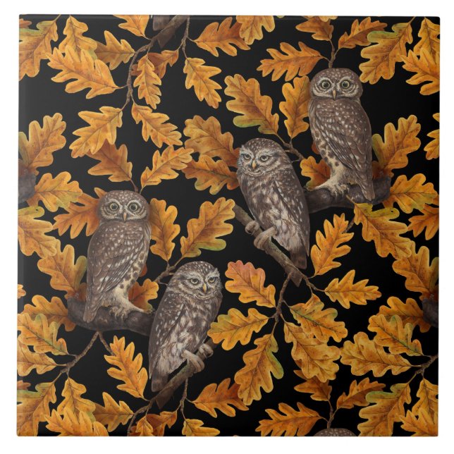 Herbstkauz auf schwarz fliese (Vorderseite)