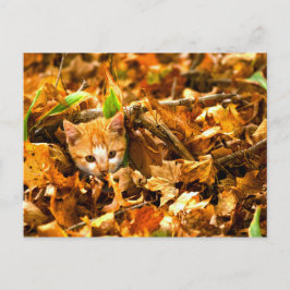 Herbstkitt Postkarte