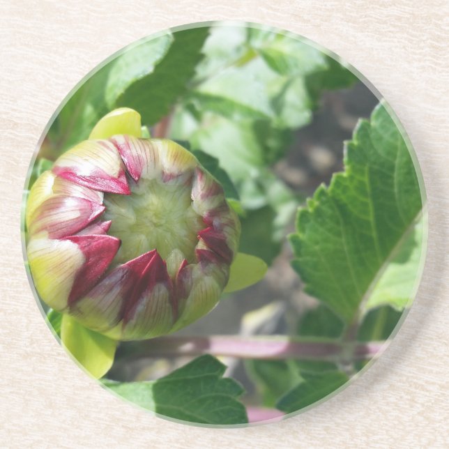 Herbstknospe Untersetzer (Vorne)