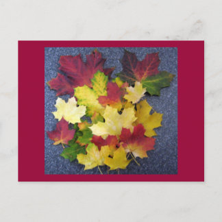 Herbstkollektion Postkarte