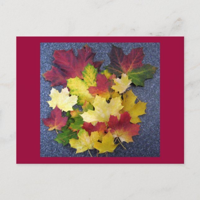 Herbstkollektion Postkarte (Vorderseite)