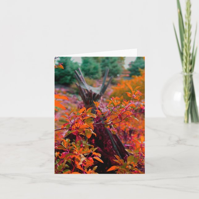 Herbstkollektionanmerkungskarte Karte (Vorderseite)