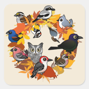 Herbstkranz nordamerikanischer Vögel Quadratischer Aufkleber