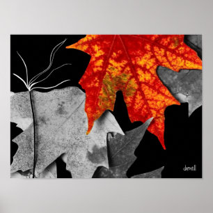 Herbstkunst Poster