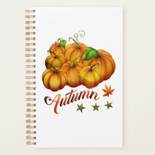 Herbstkürbisse planer
