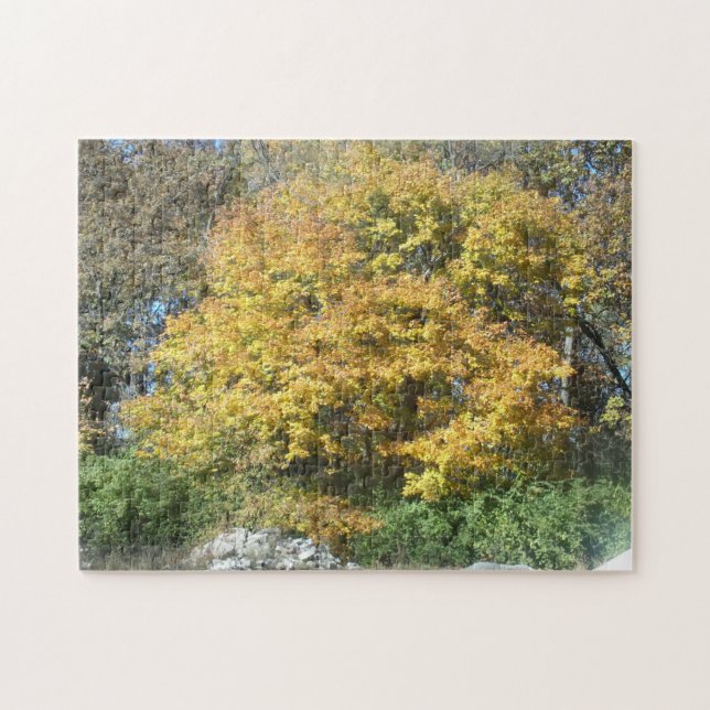 Herbstlandschaft (Horizontal)