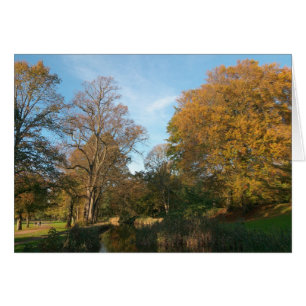 Herbstlandschaft, Bute Park, Cardiff