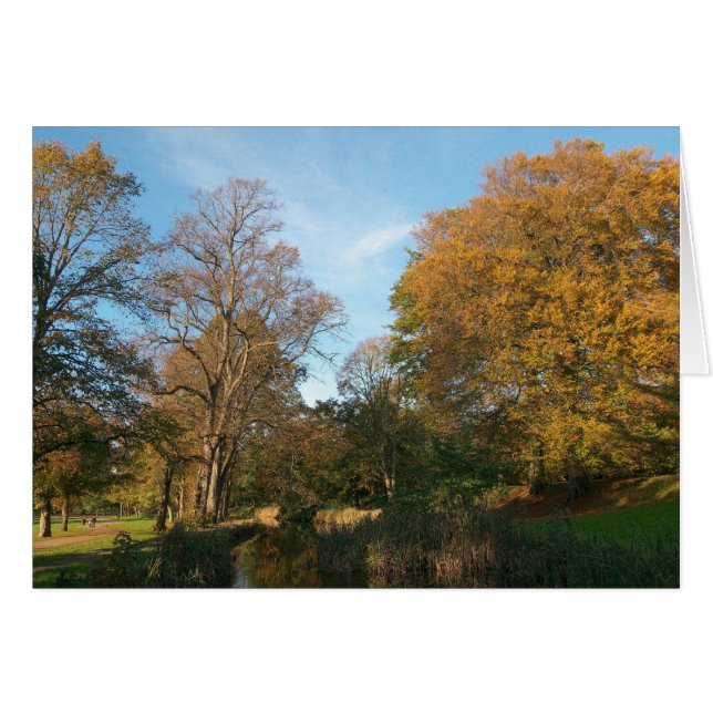 Herbstlandschaft, Bute Park, Cardiff (Vorderseite (Horizontal))