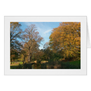 Herbstlandschaft, Bute Park, Cardiff (angrenzend)