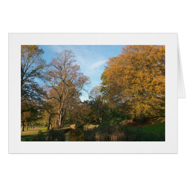 Herbstlandschaft, Bute Park, Cardiff (angrenzend) (Vorderseite (Horizontal))