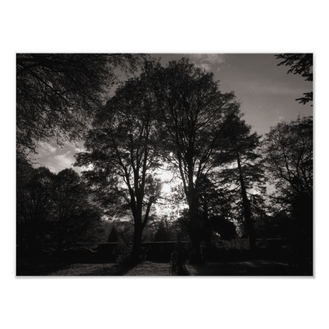 Herbstlandschaft Bute Park Cardiff Fotodruck (Vorne)