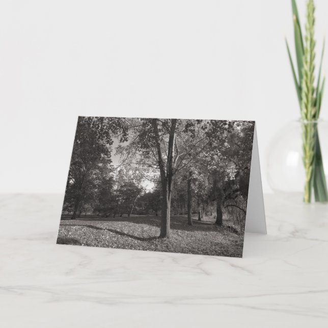 Herbstlandschaft, Bute Park, Cardiff Karte (Vorderseite)