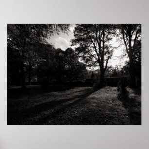 Herbstlandschaft Bute Park Cardiff Poster