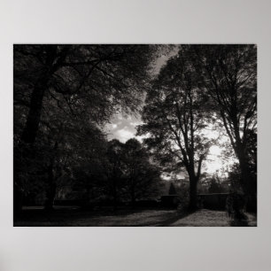 Herbstlandschaft Bute Park Cardiff Poster