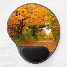 Herbstlandschaft der Bäume in den ländlichen