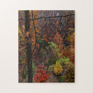 Herbstlandschaft in Arkansas Jigsaw Puzzel