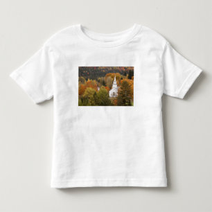 Herbstlandschaft mit Kirche, Vermont, USA Kleinkind T-shirt