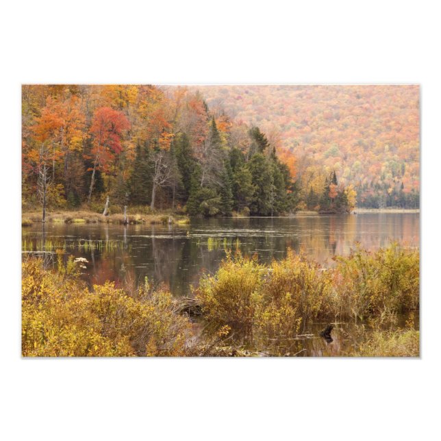 Herbstlandschaft mit See, Vermont, USA 2 Fotodruck (Vorne)